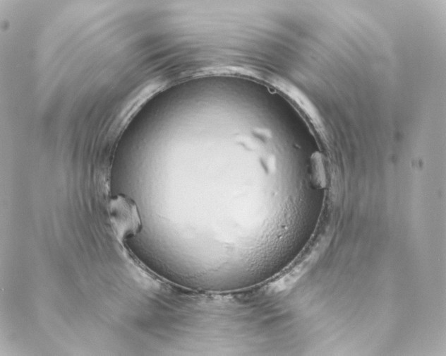 X0000088840809200706281820