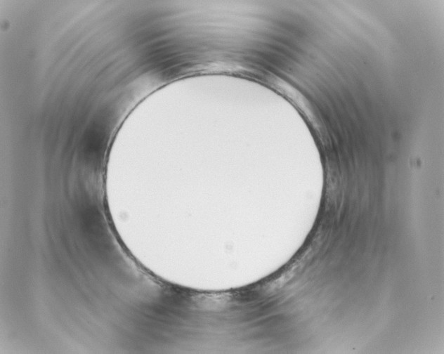 X0000088840810200706281820