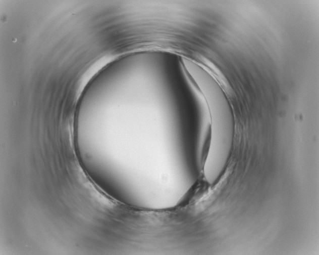 X0000088840812200706281820