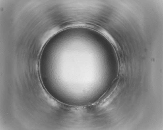 X0000088840813200706281820