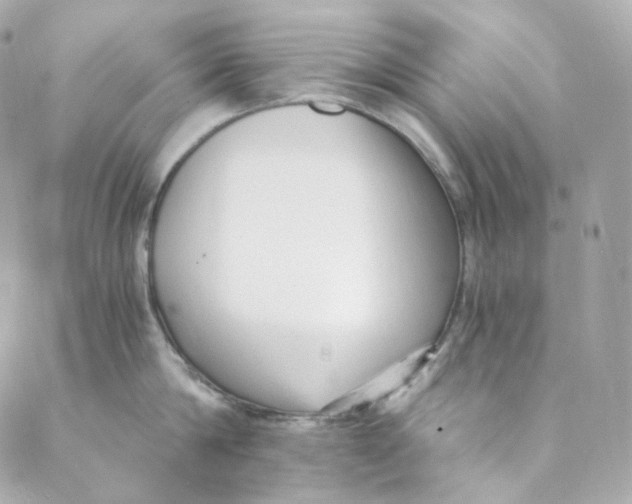 X0000088840814200706281820