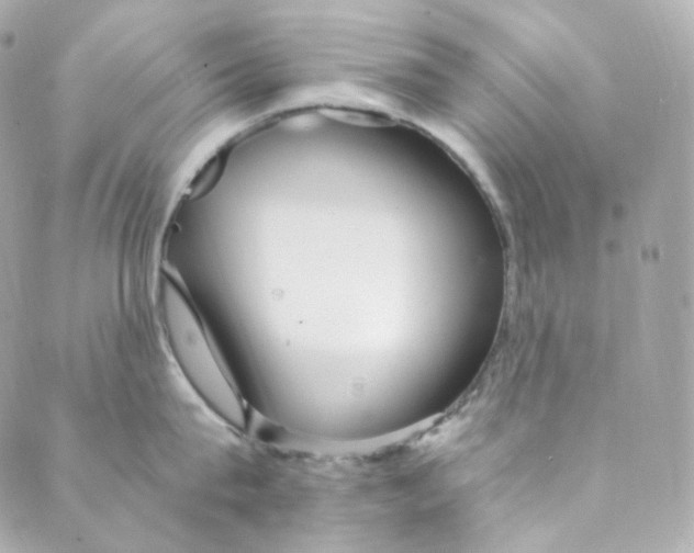 X0000088840815200706281820