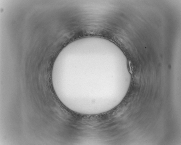 X0000088840817200706281819