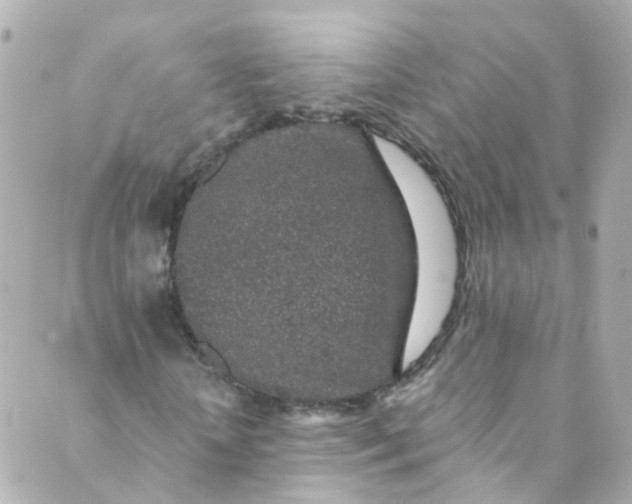 X0000088840818200706281819