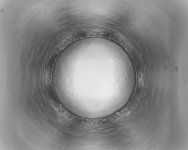 X0000088840819200706281819