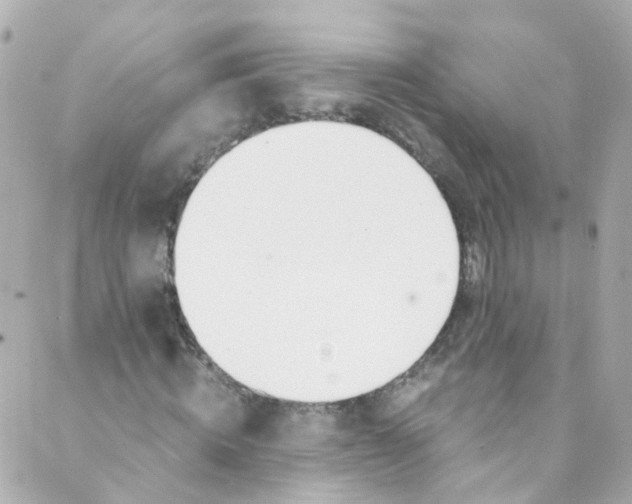 X0000088840820200706281819