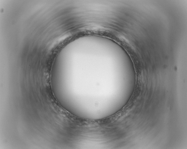 X0000088840822200706281819