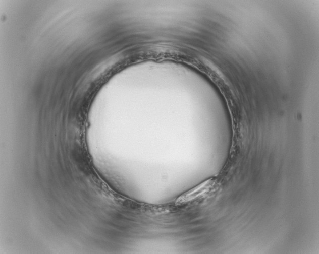 X0000088840823200706281819