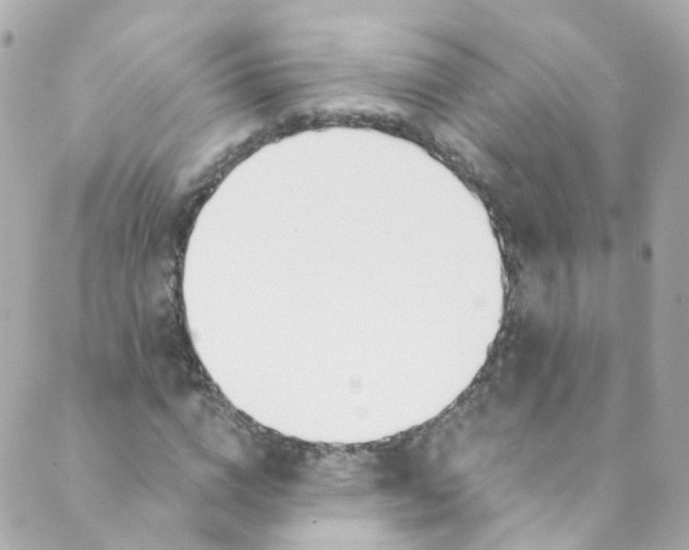 X0000088840824200706281819