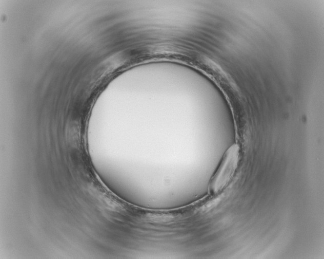 X0000088840825200706281819