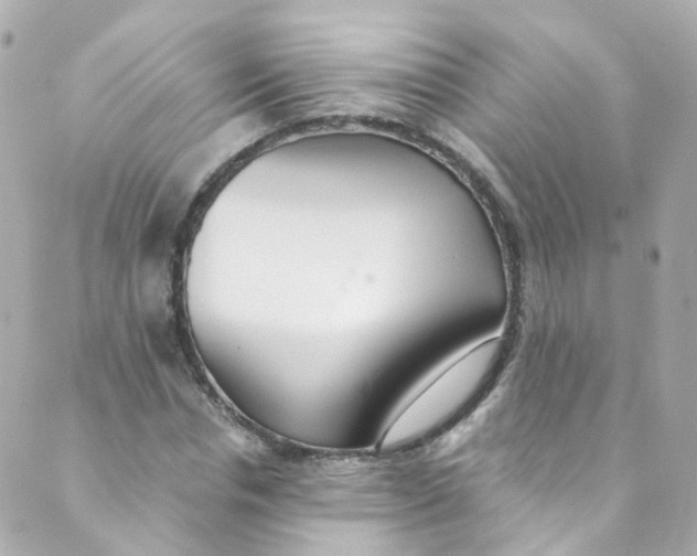 X0000088840826200706281819