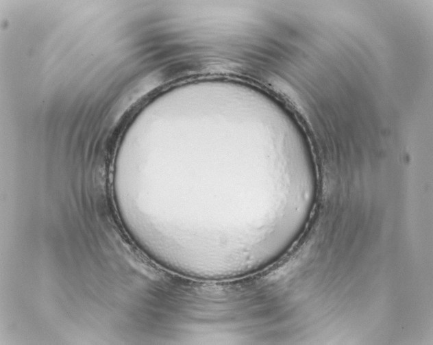 X0000088840827200706281819