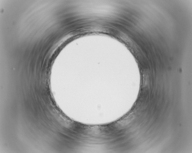 X0000088840828200706281819