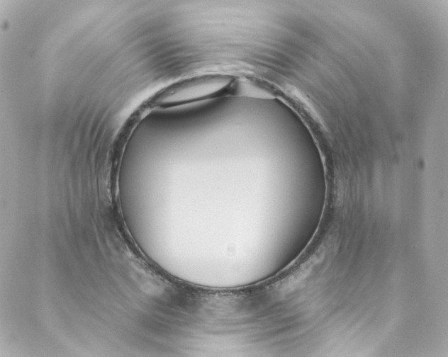 X0000088840830200706281819