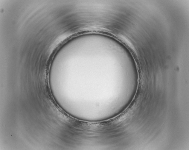 X0000088840831200706281819