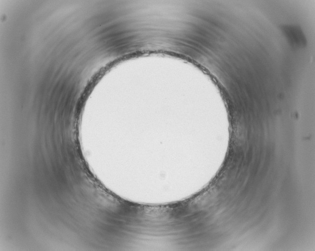 X0000088840832200706281819