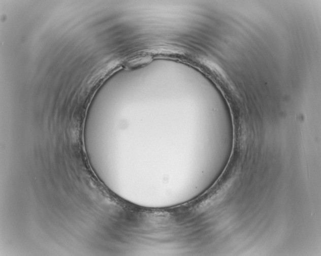 X0000088840833200706281819