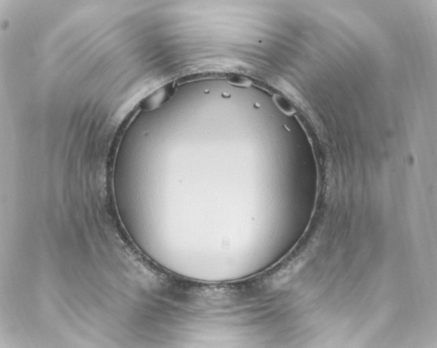 X0000088840834200706281819