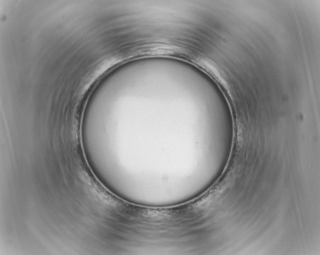 X0000088840835200706281819