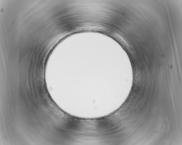 X0000088840836200706281819