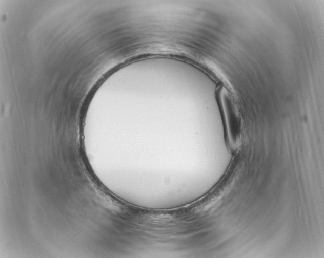 X0000088840837200706281819