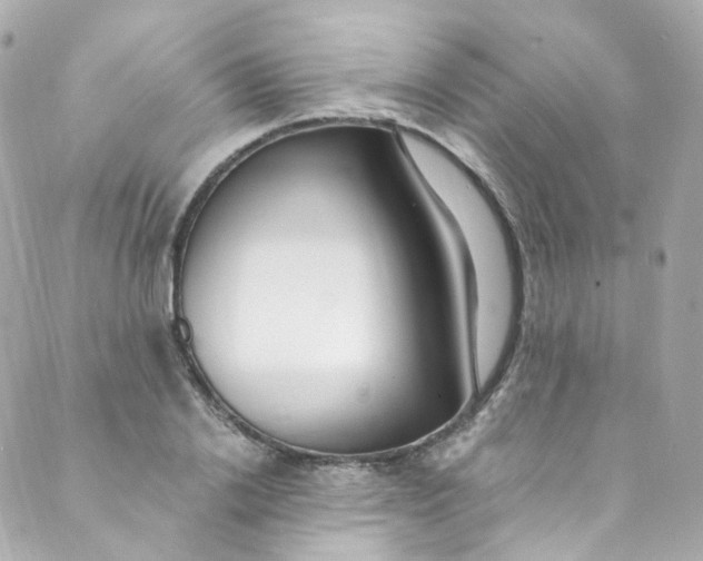 X0000088840838200706281819