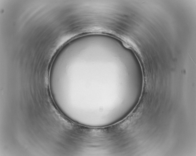 X0000088840839200706281819