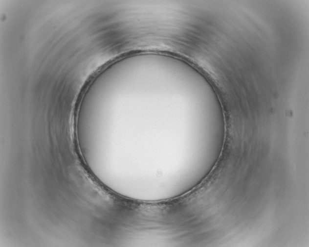 X0000088840840200706281819