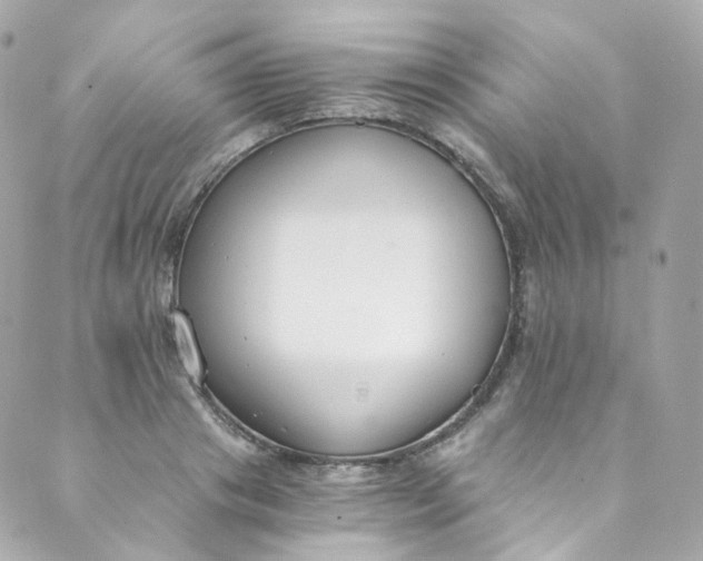 X0000088840841200706281819