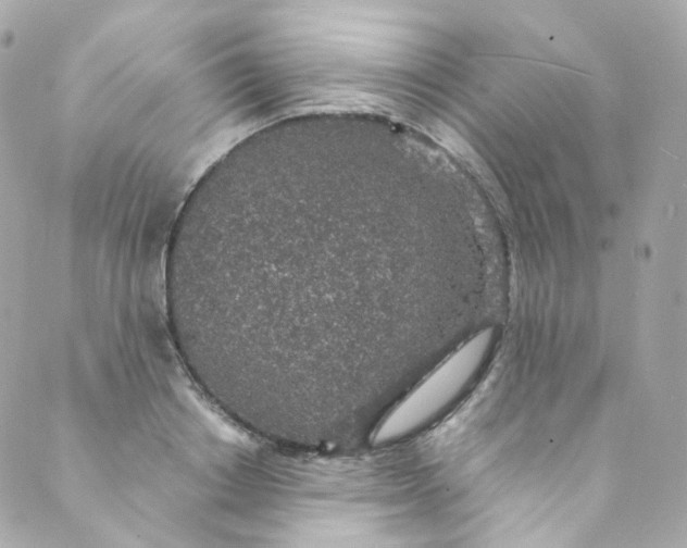 X0000088840842200706281819