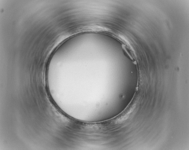 X0000088840843200706281819