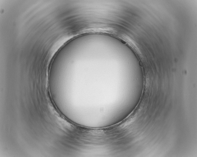 X0000088840844200706281819