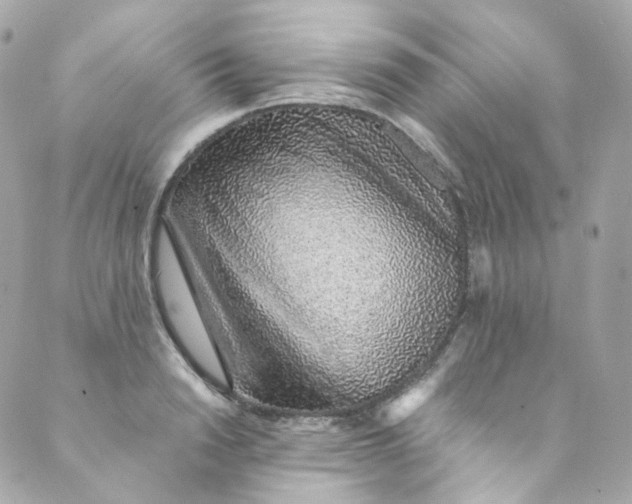 X0000088840846200706281819