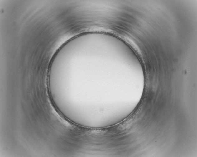 X0000088840847200706281819