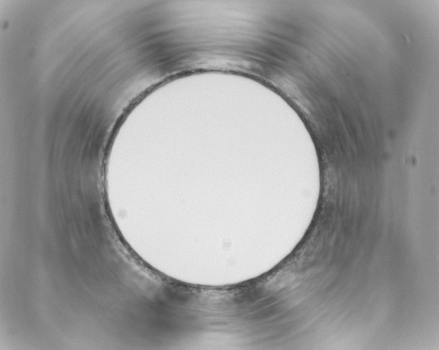 X0000088840848200706281819