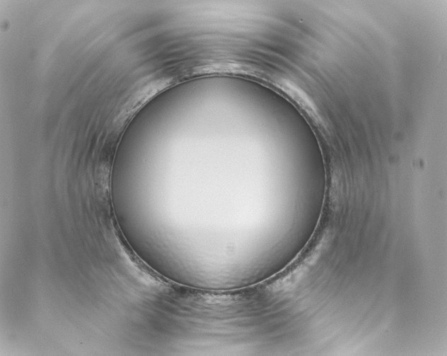 X0000088840849200706281819