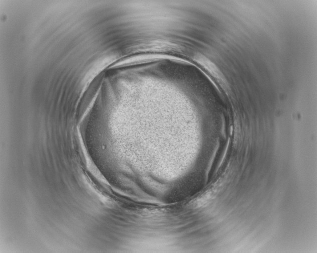 X0000088840850200706281819