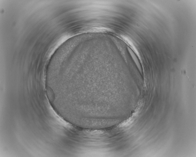 X0000088840851200706281819