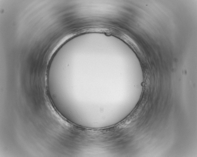 X0000088840852200706281819