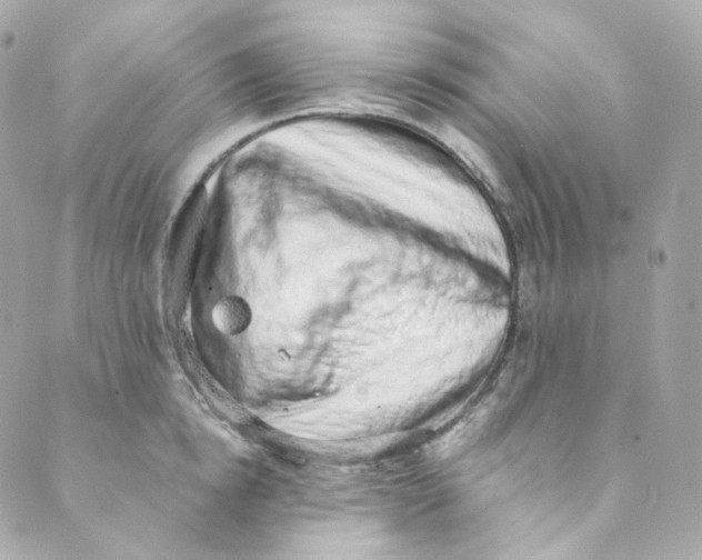 X0000088840854200706281820