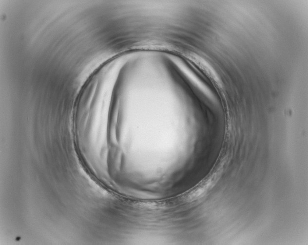 X0000088840855200706281820