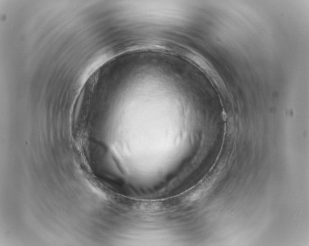 X0000088840858200706281820