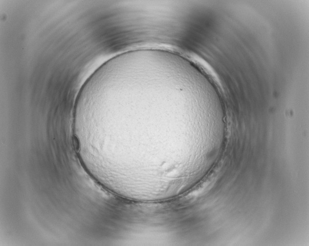 X0000088840860200706281820