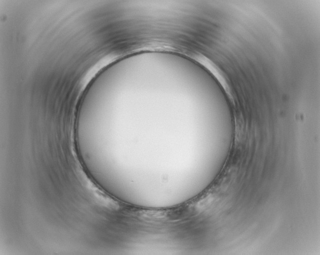 X0000088840861200706281820