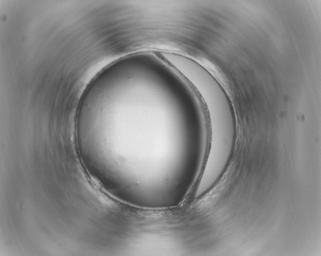 X0000088840862200706281820