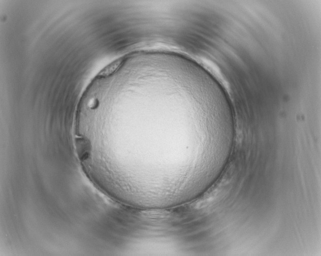 X0000088840863200706281820