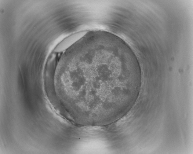 X0000088840864200706281820