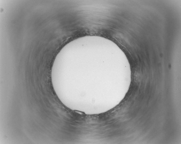 X0000088840865200706281819