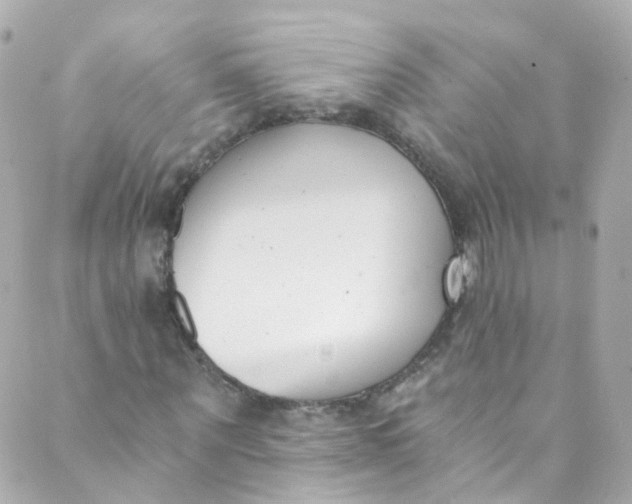 X0000088840867200706281819