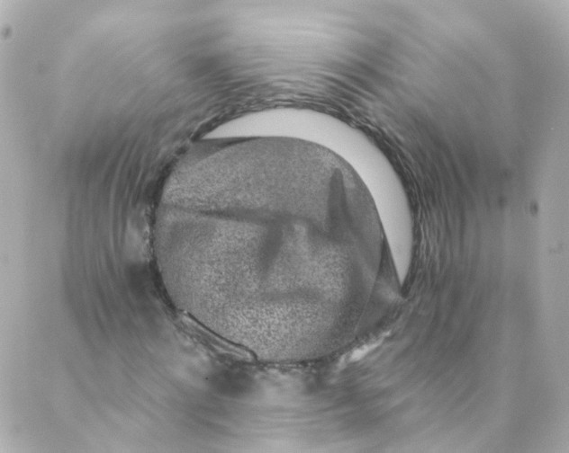 X0000088840868200706281819